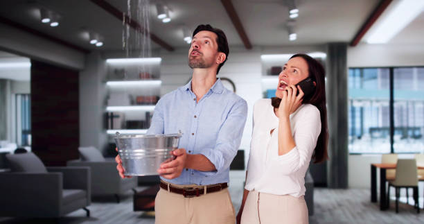 Professional Water damage restoration in Holiday, FL