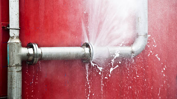 Best Ceiling water damage repair  in Holiday, FL